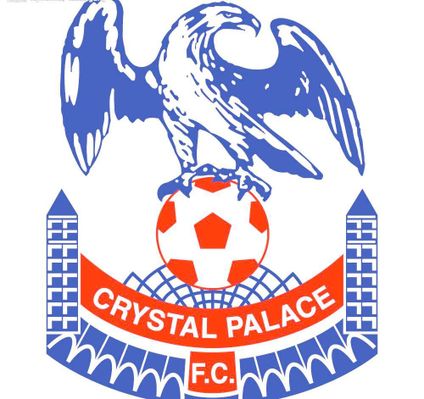 入强心剂 入强心剂